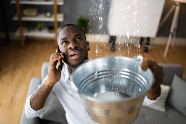 Best Water damage restoration near me  in Brooklawn, NJ