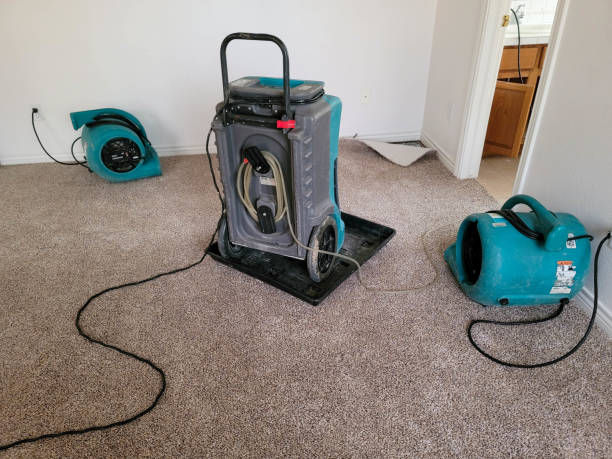 Best Flooded house restoration  in Brooklawn, NJ