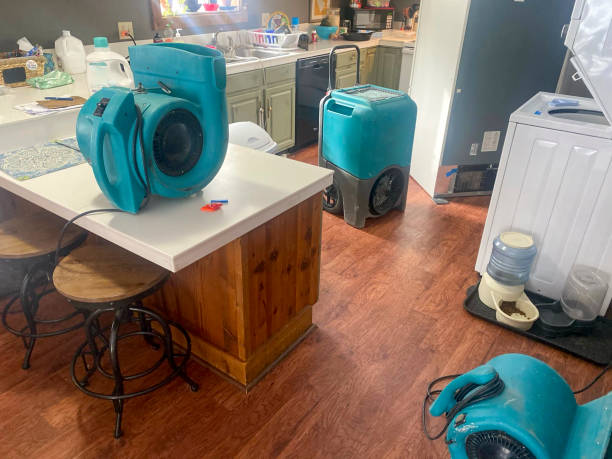 Best Commercial water damage restoration  in Brooklawn, NJ