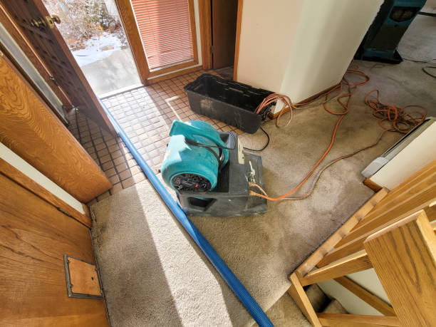 Best Fire Damage Restoration  in Brooklawn, NJ