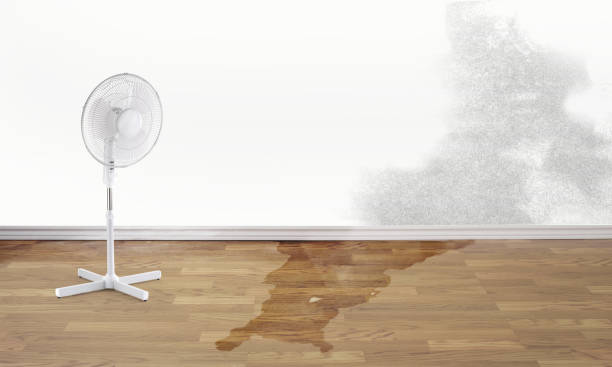 Water damage restoration insurance claims in NJ