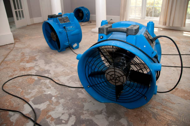  Brooklawn, NJ Water damage restoration Pros