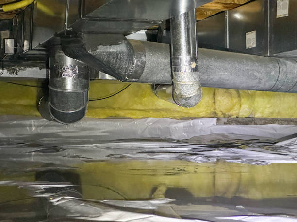 Best Water damage cleanup near me  in Brooklawn, NJ