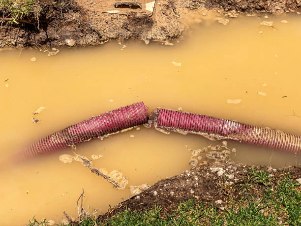 Best Mold removal after water damage  in Brooklawn, NJ