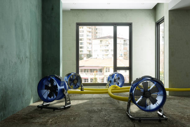 Best 24-hour water damage restoration  in Brooklawn, NJ